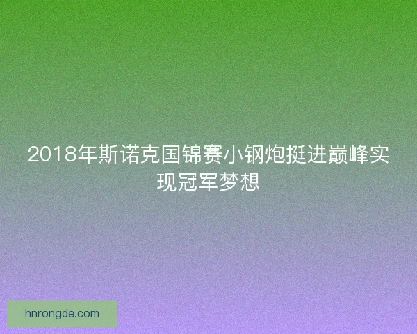 2018年斯诺克国锦赛小钢炮挺进巅峰实现冠军梦想